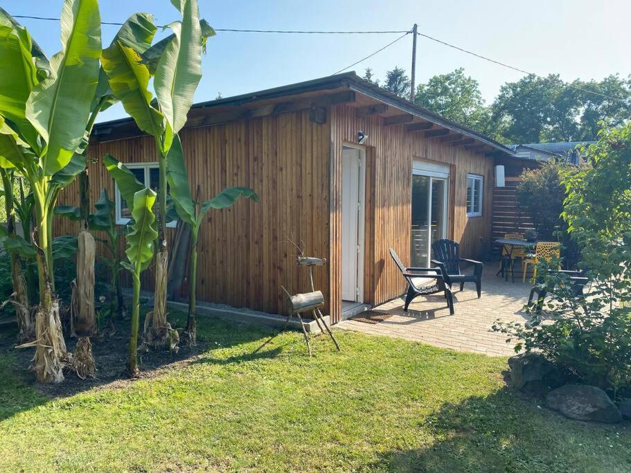 Gite Vogelau Schiltigheim Exterior foto